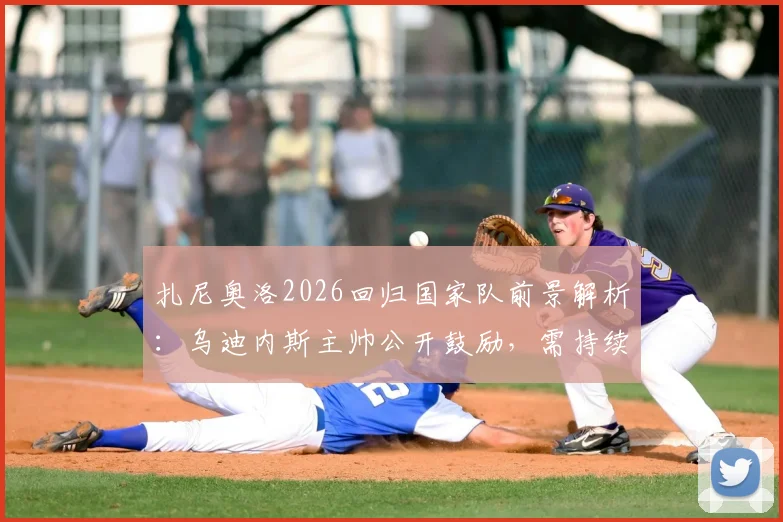 扎尼奥洛2026回归国家队前景解析：乌迪内斯主帅公开鼓励，需持续高光表现